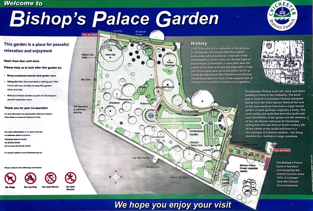 A map of Bishop's Palace Garden showing the layout of key trees and plants to be found in the garden.